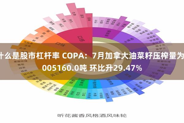 什么是股市杠杆率 COPA：7月加拿大油菜籽压榨量为1005160.0吨 环比升29.47%