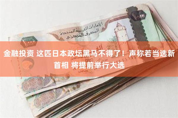 金融投资 这匹日本政坛黑马不得了！声称若当选新首相 将提前举行大选