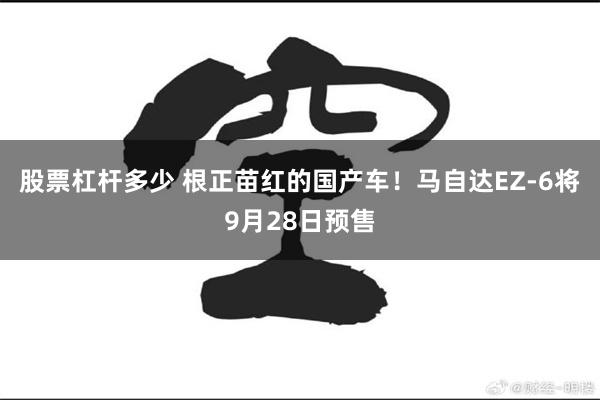 股票杠杆多少 根正苗红的国产车！马自达EZ-6将9月28日预售