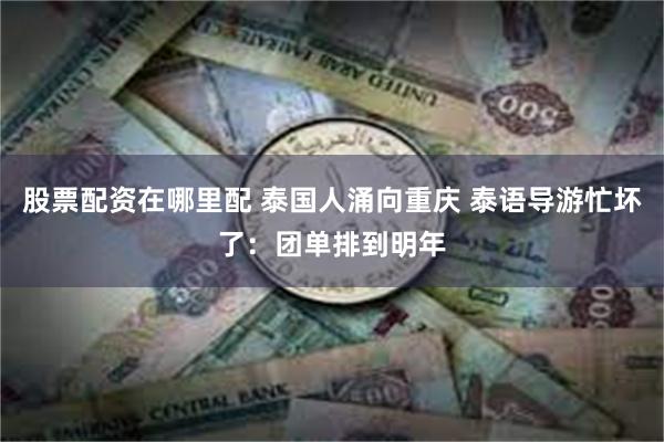 股票配资在哪里配 泰国人涌向重庆 泰语导游忙坏了：团单排到明年