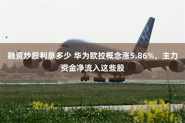 融资炒股利息多少 华为欧拉概念涨5.86%，主力资金净流入这些股