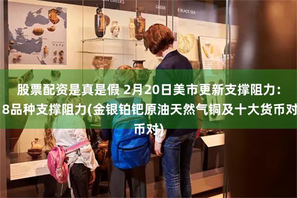 股票配资是真是假 2月20日美市更新支撑阻力：18品种支撑阻力(金银铂钯原油天然气铜及十大货币对)