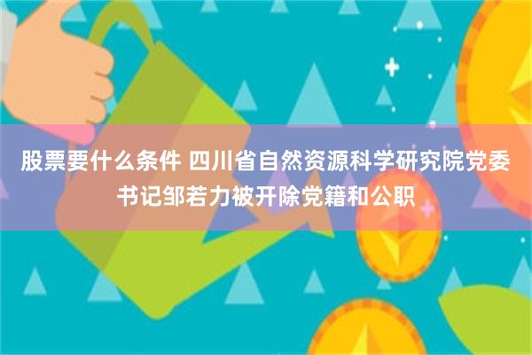 股票要什么条件 四川省自然资源科学研究院党委书记邹若力被开除党籍和公职